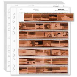 50PCS-YCCLDLIP 아카이브 저장 시트 135개 35mm 네거티브 페이지 프레서버, 35mm 필름 네거티브 저장 시트, 카메라 필름용 산이 없는 아카이브 슬리브, 네거티브용 바인더 호환 보호구
