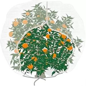 Agfabric 버드 네팅 72인치 Hx72 W 정원 해충 차단막 식물 커버 과일 나무 메쉬 보호 가방 지퍼 포함 흰색