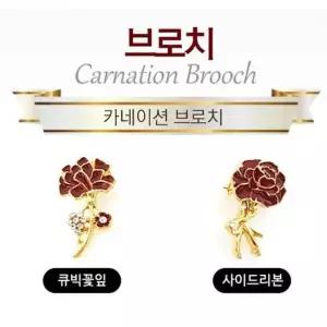 TBZ 카네이션브로치 용돈봉투 패션브로치 뱃지