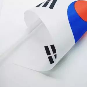 [룽스_66]응원 수기 손태극기 광복절태극기 RD-12435