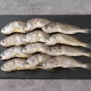 영광굴비 20미 선물세트 (마리당 20cm내외/80g 내외)