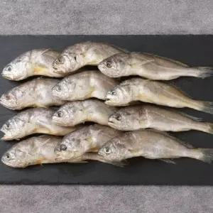 영광굴비 20미 선물세트 (마리당 20cm내외/80g 내외)