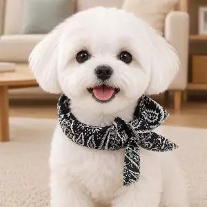 반려동물 쿨링 스카프 강아지 고양이 아이스 쁘띠스카프