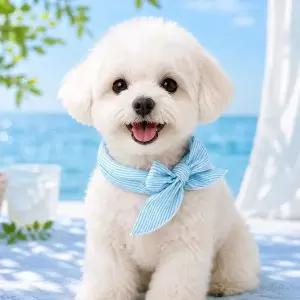 반려동물 쿨 아이스 스카프 강아지 고양이 쁘띠스카프