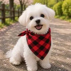 반려동물 체크 반다나 스카프 강아지 고양이 턱받이