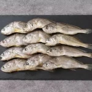 영광굴비 20미 선물세트 (마리당 20cm내외/80g 내외)