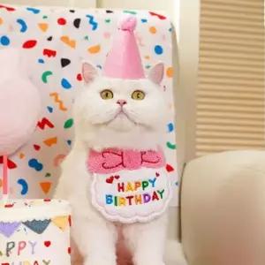 강아지 생일 축하 파티 스카프 코스튬 모자 턱받이 스카프