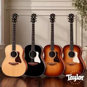 테일러 통기타 골드 라벨 517e TAYLOR Gold Label 올솔리드 어쿠스틱기타 픽업