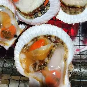 당일조업 국내산 비단가리비 1kg (25미 내외)