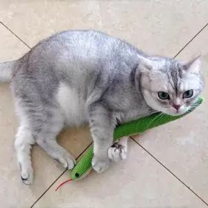 고품질 BS 고양이 강아지 비닐 뱀 장난감 인형 쿠션 놀이 반려동물...