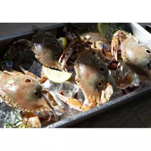A급 삼점게 알배기 3kg 간장게장 80 100 숫게 2383058 J