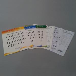핵형분석(스티커-3종) EDU-22662 / 과학 체험학습 키트 교구 교재