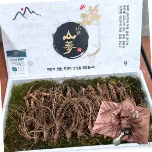 VDG 장뇌삼 5 7년근 2등급 중 6뿌리 건강식품
