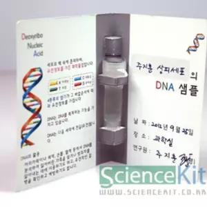 학교 조별실험 과학교재 동물세포 DNA추출2 4인용 실험교구 과학실험키트 단체실험 하니C2