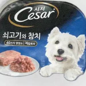 시저 Cesar 쇠고기와 참치 애견 반려견 사료 100g