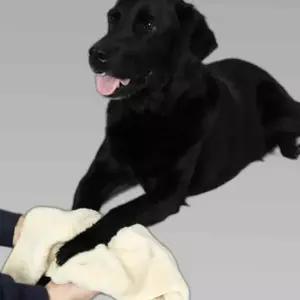 강아지 몬스터 펫타올 베이지 중형 고양이 수건 1P