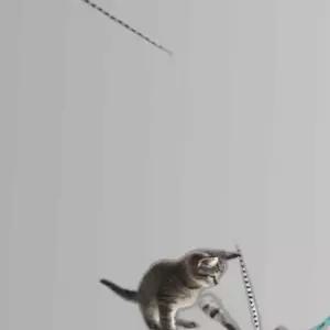 고양이 봉제인형 캣닢 낚시대 웜완드 1P 사냥놀이