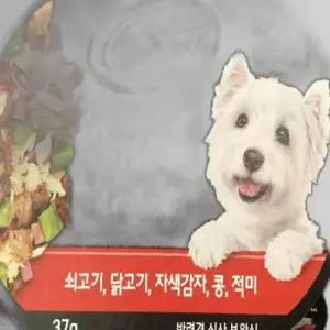 시저 심플리 크래프트 소고기 닭고기 반려견 37g 사료