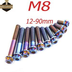 FLAWLESSTI 티타늄 볼트 브레이크 켈리퍼  Brmbo honda호환 PCX 160 용 후면 브래킷 핸들 바 Gr5  M8X12-90
