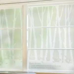 칼라안개시트_rain forest 02_A01_W90xH90cm 안개시트지 유리시트지