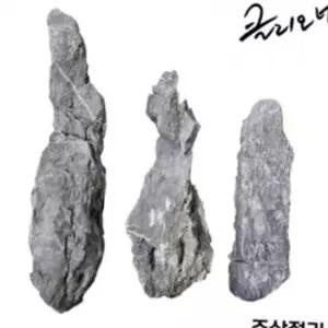 어항 분재유목 주상절리 수조 나무 인테리어 수족관 장식