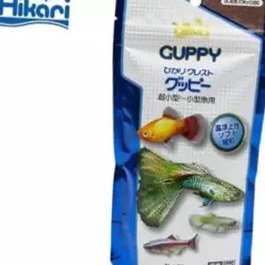 작은어종 물고기 구피 전용사료 70g 건강먹이 영양분
