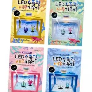 LED 수족관 새우키우기(랜덤)