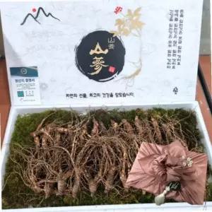 VDG 산양삼 12-13년근 최상급 3뿌리 선물세트 명절선물 건강선물