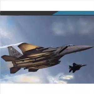 아카데미과학 미공군 F15E 스트라이크 이글 333전투비행대 정밀 조립 프라모델 키트