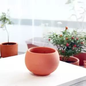 고품질 황토빛 앵두 13x9cm 토분화분 장식 (WB3CBF5)