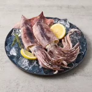 [아침애딴] 산지직송 활 초코오징어 4kg (kg당 4-7미)