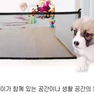 WL 반려동물 가림막 안전 메쉬망(기본형)