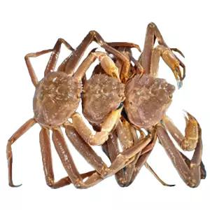 유쎌쇼핑몰 러시아 활 대게 1KG [활 선택] 갑각류 제철대게