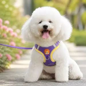 강아지 하네스 소형견 푸들 산책 가슴줄 3컬러 조끼형 리드줄