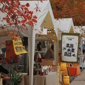 바베큐장 원두막 파고라 농막 옥상 평상 카페