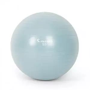 아이워너 안티버스트 파스텔 짐볼 55cm 더스티블루