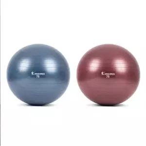 아이워너 안티버스트 파스텔 짐볼 75cm
