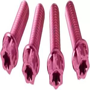 펀파트 4pcs 풋페그 홀더 볼트 나사 장착 브래킷 너트 서론 라이트 비 X/S 전기 자전거용 티타늄 합금 키트
