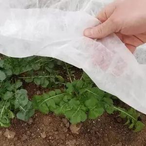 농업용 부직포 50g 보온 서리방지 못자리용 농사용