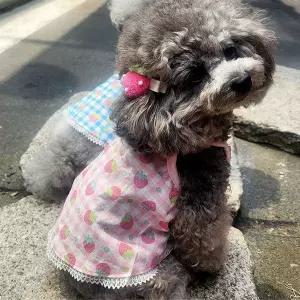 강아지 딸기 체크 나시티 2XL 1P 여름 레이스 민소매