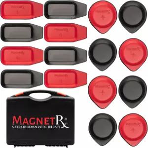 MagnetRX 생체자기 자석 키트 이마네스 파라 생체자기학 메디코 바이오 쌍용 닥터 고이즈 원형 및 직사각형