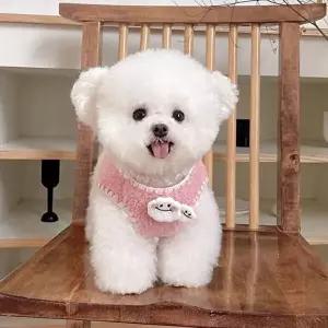 고품질 BS 구름핀 뽀글이 강아지조끼 OSM-1006299 강아지겨울옷 고양이겨울옷 뽀글이옷 고양이산책 WFME78