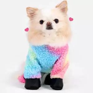 레인보우 곰털 하네스슈즈웨어
