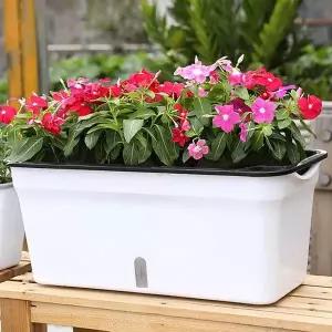 자동급수화분 화분급수기 화분자동물주기 옥상텃밭