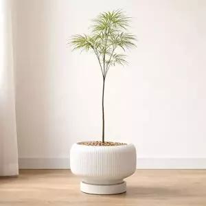 고품질 모던 도기 세로줄 정원형 분재 화분 24x19cm 도기 세로줄 정원형 분재 24x19 WFMEVVA