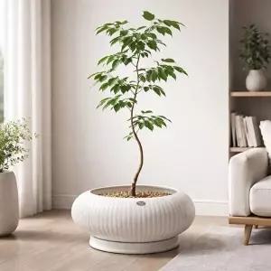 고품질 모던 도기 세로줄 비대칭 타원형 분재 화분 24x12x12cm 도기 세로줄 비대칭 타원형 분재 WFMEVVD