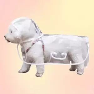 강아지 비옷 레인코트 판초 개비옷 소형견 투명 산책