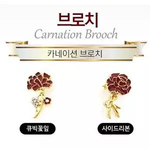 TBZ 카네이션브로치 용돈봉투-WFMZ1CP