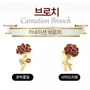 TBZ 카네이션브로치 용돈봉투-WFMZ1CP
