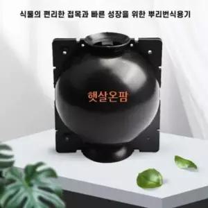 식물키우기 햇살온팜 루팅볼 고압식물생근기 대중소 각10개 세트